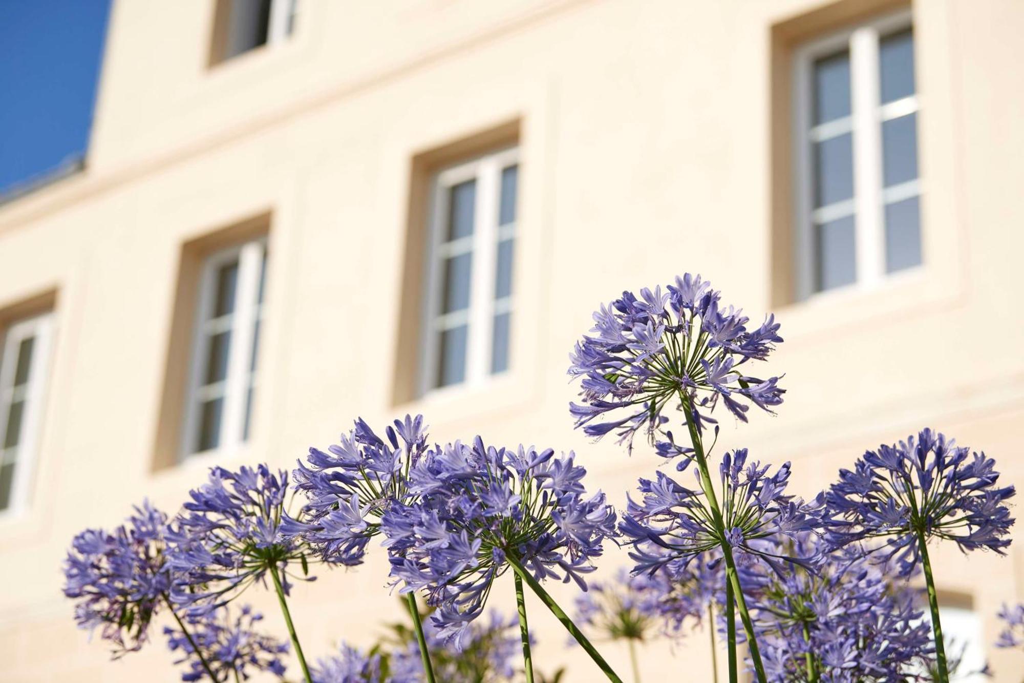 Best Western Premier Hotel Des Vignes Et Des Anges Pauillac Eksteriør bilde