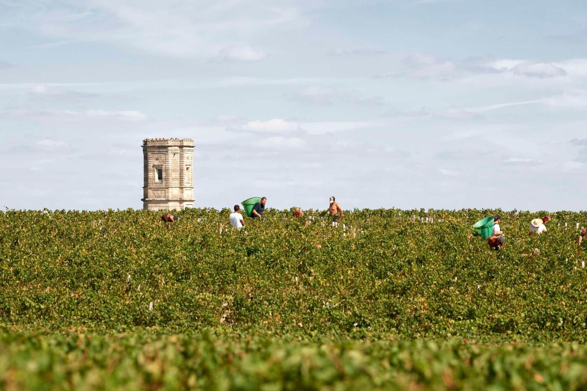 Best Western Premier Hotel Des Vignes Et Des Anges Pauillac Eksteriør bilde